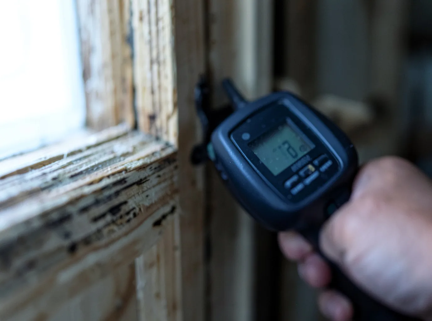Moisture Inspection And Documentation in Toddville, IA